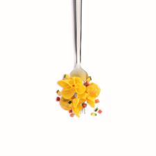 FIOCCHETTI SPECK E ZUCCHINE GR300 PZ4